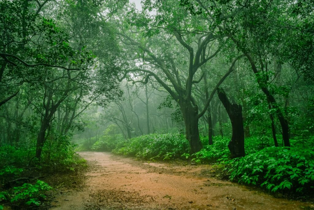 matheran during monsoon resized 2