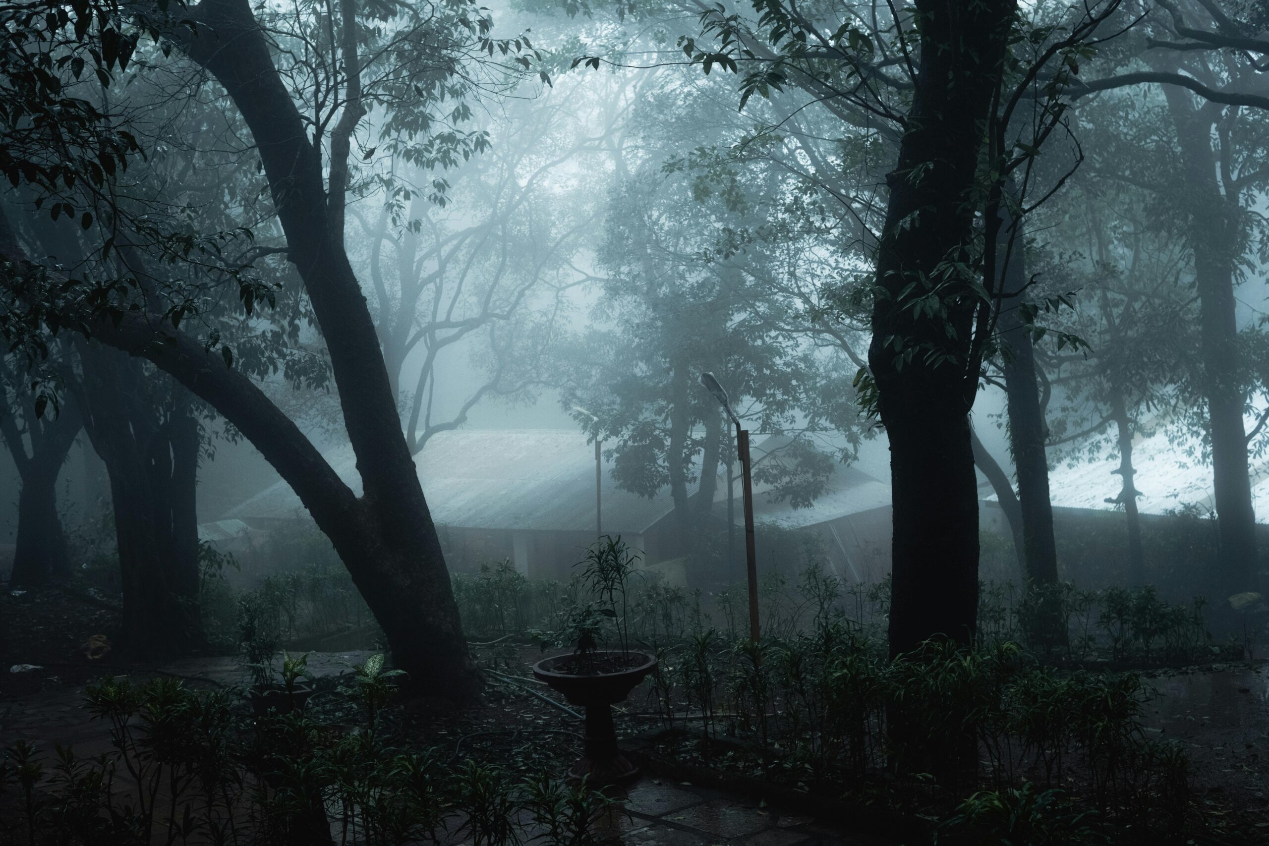 Captivating misty forest scene in Matheran, India, featuring dense trees, fog, and atmospheric mood.